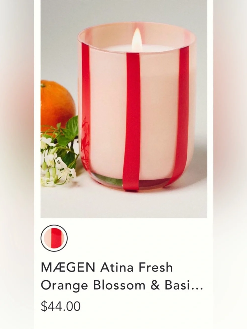 Anthropologie maegen atina